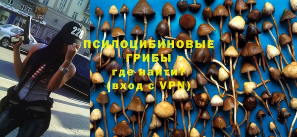mdma Няндома