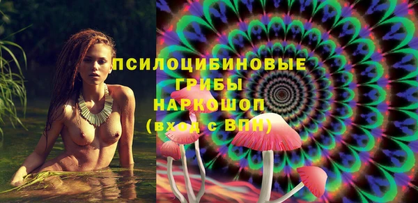 mdma Няндома