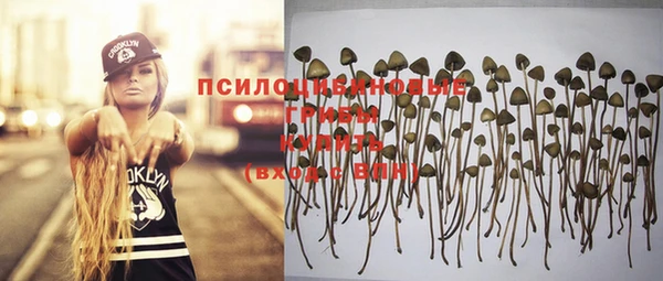 2c-b Нязепетровск